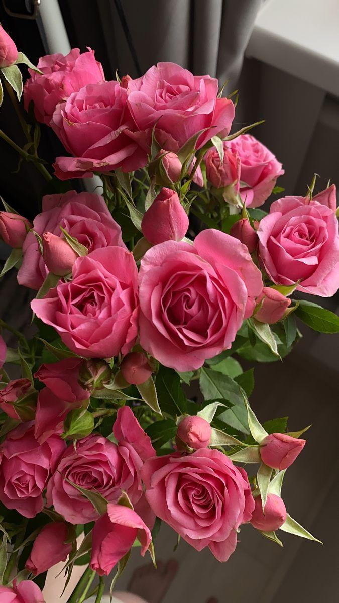 Corporate meeting room with carefully timed floral arrangements that maintain elegance throughout business hours